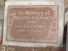 Full-size image