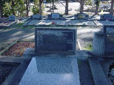 Full-size image