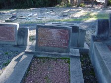 Full-size image