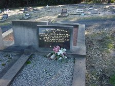 Full-size image