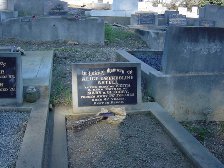 Full-size image