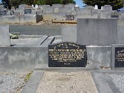 Full-size image