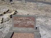 Full-size image
