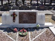 Full-size image