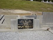 Full-size image