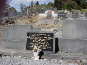 Full-size image