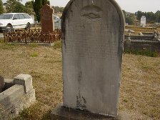 Full-size image