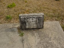 Full-size image