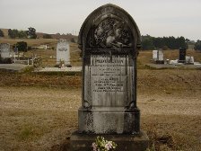 Full-size image