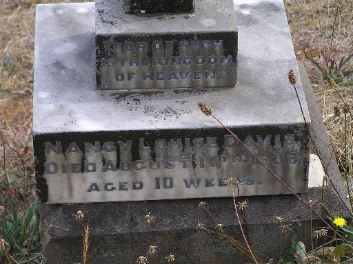 Full-size image