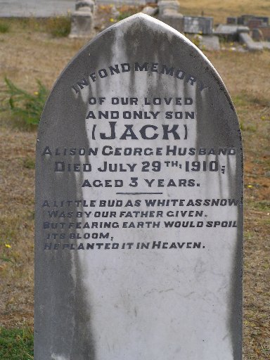 Full-size image