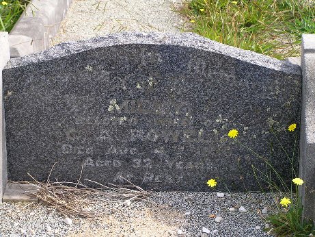 Full-size image