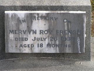 Full-size image