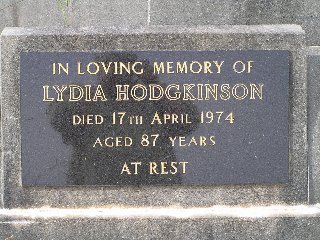 Full-size image