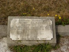 Full-size image