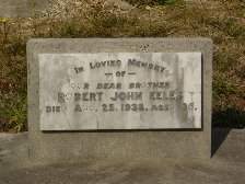 Full-size image