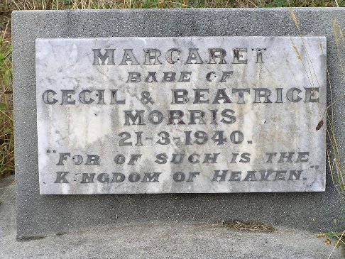 Full-size image