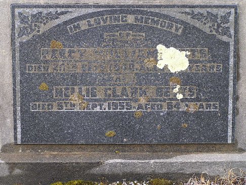 Full-size image