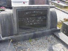 Full-size image