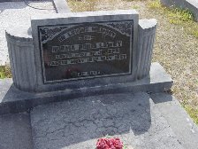 Full-size image