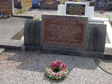 Full-size image