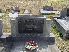 Full-size image