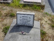 Full-size image