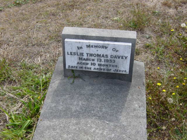 Full-size image