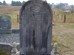 Full-size image