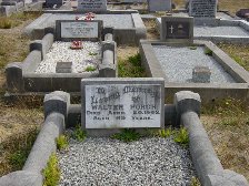 Full-size image