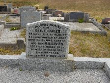 Full-size image