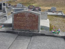 Full-size image