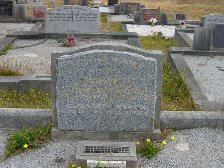 Full-size image