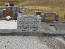 Full-size image