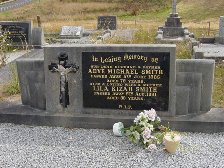 Full-size image