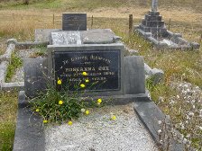 Full-size image