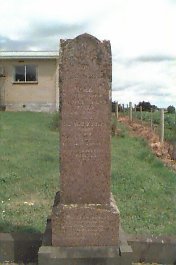 Full-size image