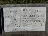 Full-size image