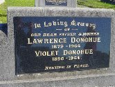 Full-size image