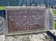 Full-size image