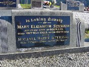 Full-size image