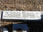 Full-size image