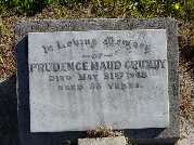 Full-size image