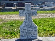 Full-size image
