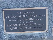 Full-size image