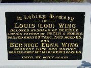 Full-size image