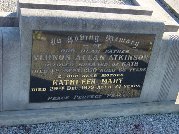 Full-size image