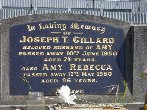 Full-size image