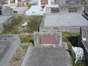 Full-size image