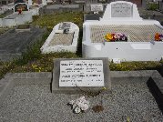 Full-size image